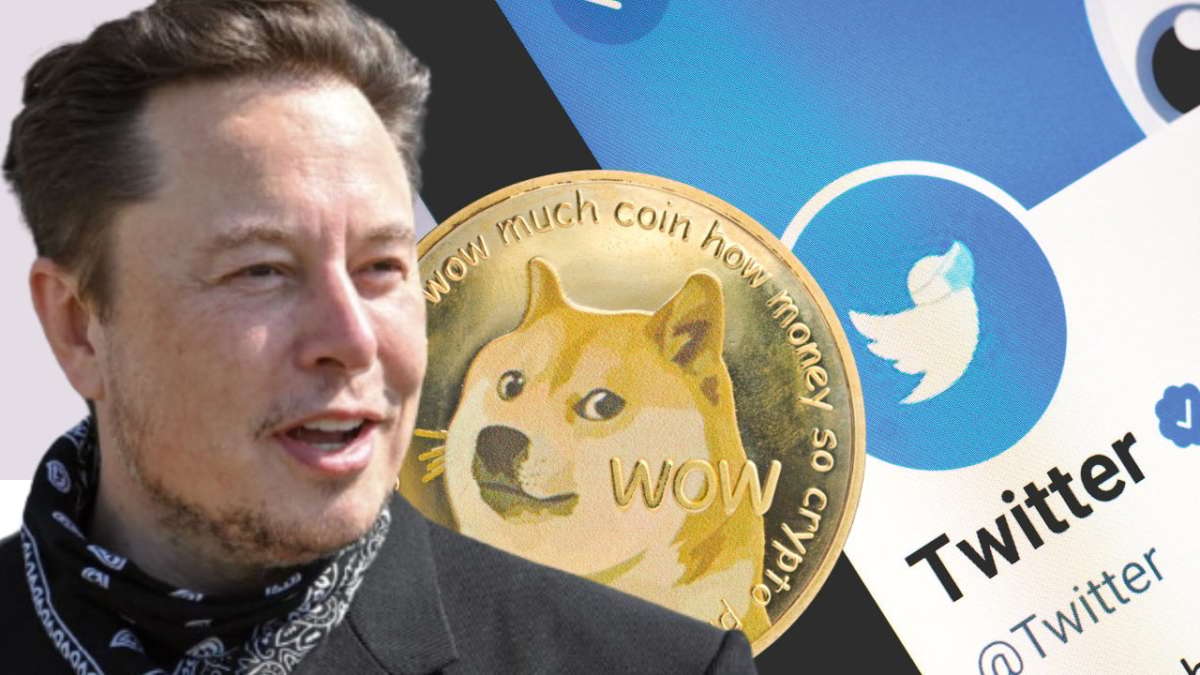 Elon Musk Shocks Dogecoin Community: DOGE CEO Replaced on Twitter, Coin Drops 2.88%