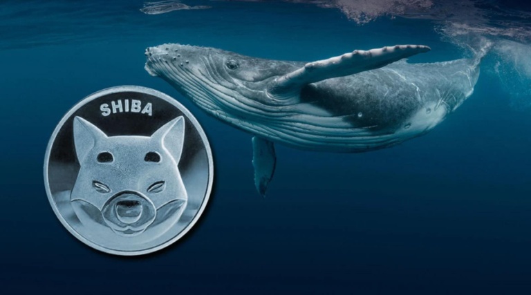 Whales withdrawing billions of SHIB from exchanges