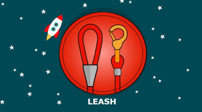 Shiba Inu’s LEASH Token Holders to Receive Exclusive Feature
