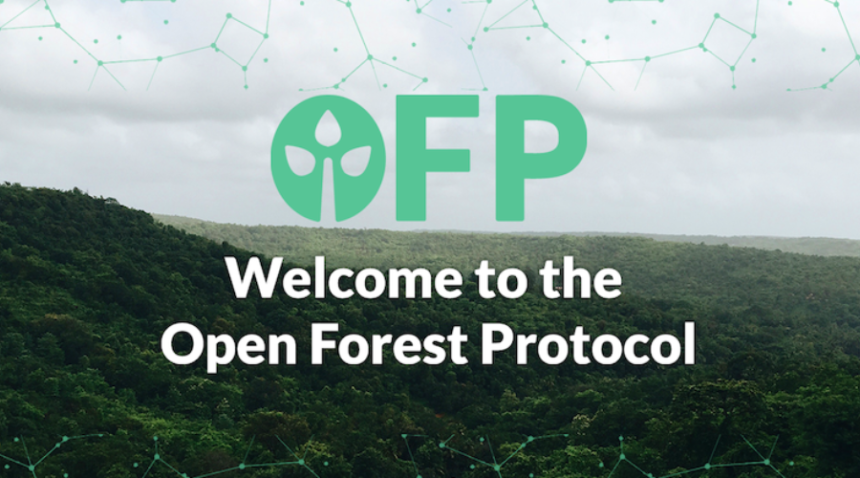 Open Forest Protocol Reveals the Potential of NEAR Protocol