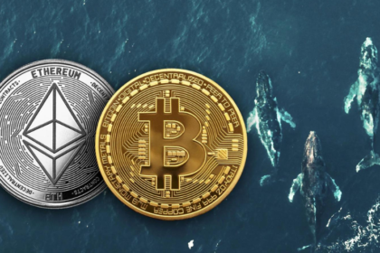 How BTC and ETH Whales Engage in a Game of Patience – Discover Their Strategy