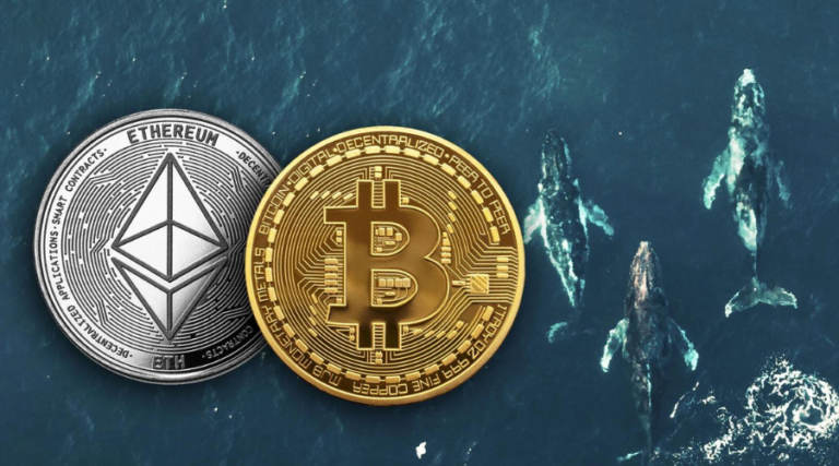 How BTC and ETH Whales Engage in a Game of Patience – Discover Their Strategy
