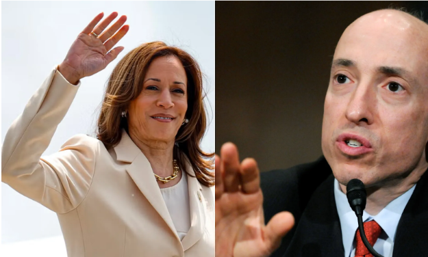 Kamala Harris Wants Gensler as Treasury Secretary, Solana and Toncoin Whales Start to Hedge - Blockcrux