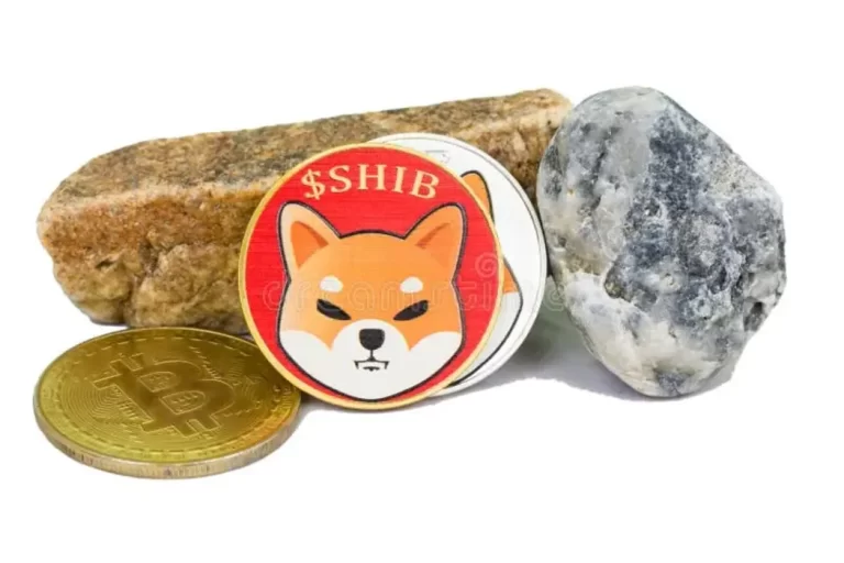 Shiba Inu (SHIB) may reach $0.1 by 2025. Explore SHIB's price trends, expert predictions, and potential for the next bull run.