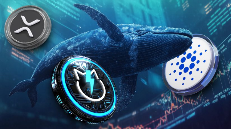 XRP Whales Show Interest in New Altcoin as ZDEX Presale Gains Momentum