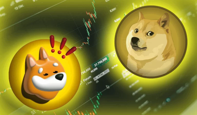 Shiba Inu Whales Drive Recovery, Outpacing Dogecoin